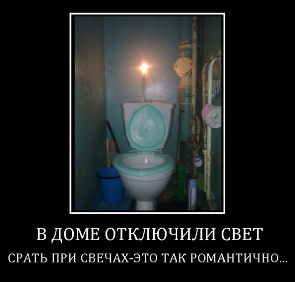 Смешные лисы, смешные картинки свет отключили