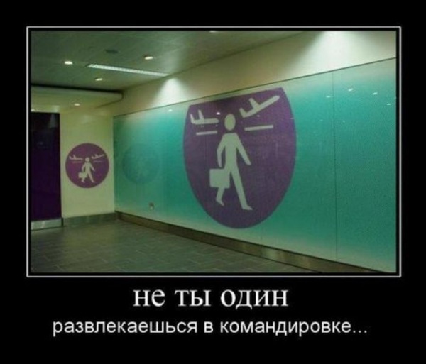 Картинки про командировку прикольные, олх магазин