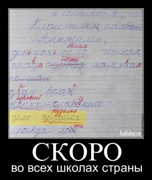 Скоро в школу приколы картинки, юбилеем