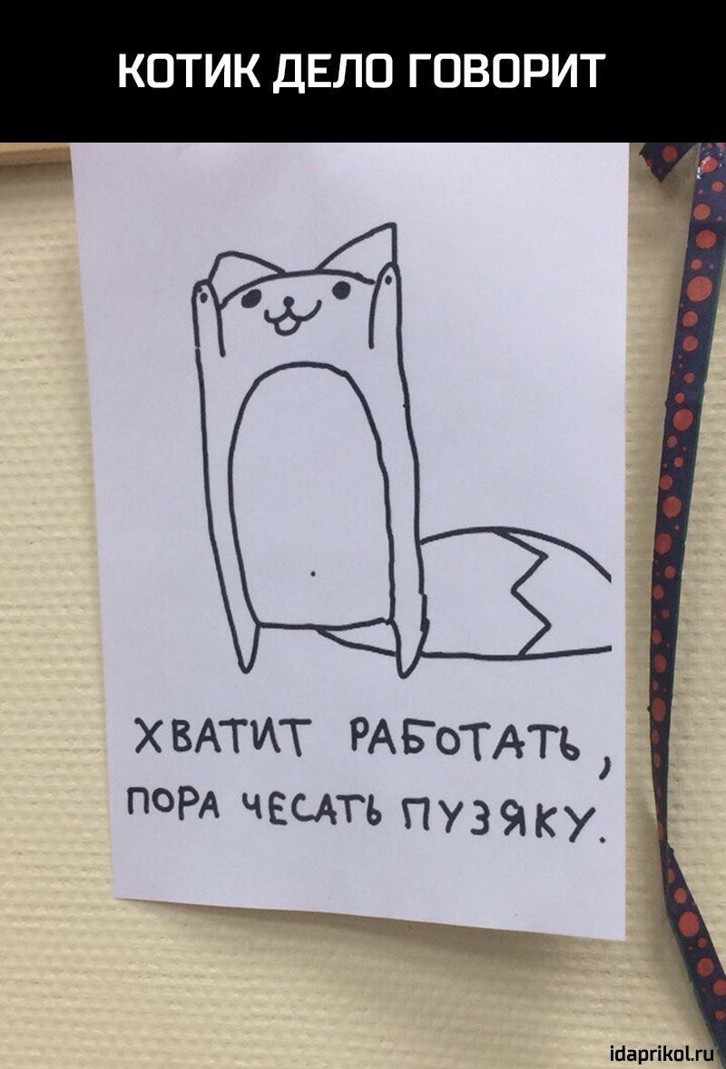 Пора работать картинки, открытки котики
