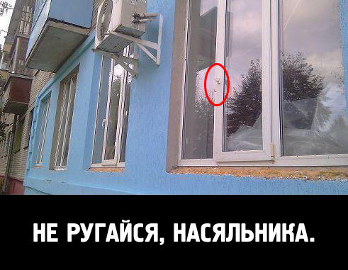 Установка окон картинки прикольные