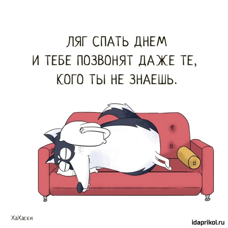 Лечь спать картинки прикольные, юбилеем картинки питер