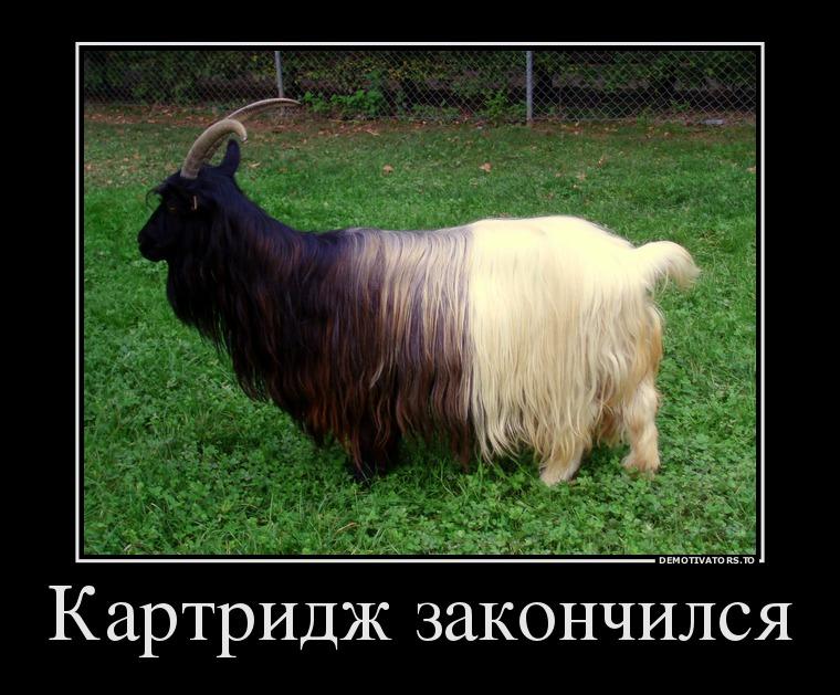 Картридж картинки смешные, английском языке